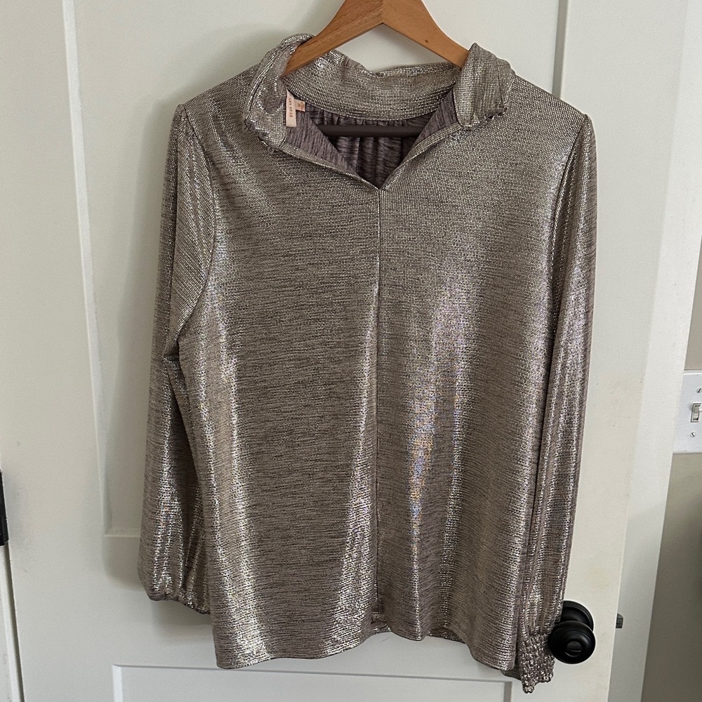 Skies Are Blue Shimmering Silver Blouse - Worn Once